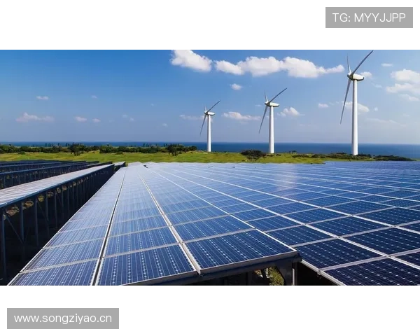 开云体育 亚洲 官方网站入口提供安全稳定的登录环境保证用户体验与资金安全双保障