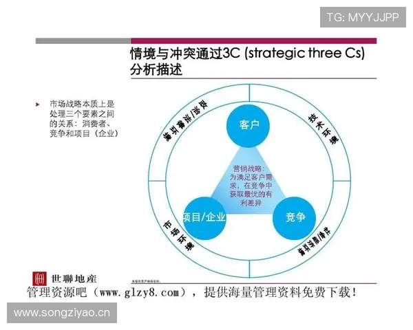皇家集团的品牌战略以及市场定位分析