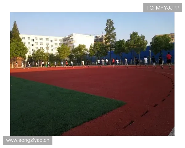 轻松访问星空体育网页版登录入口，体验丰富多样的运动项目