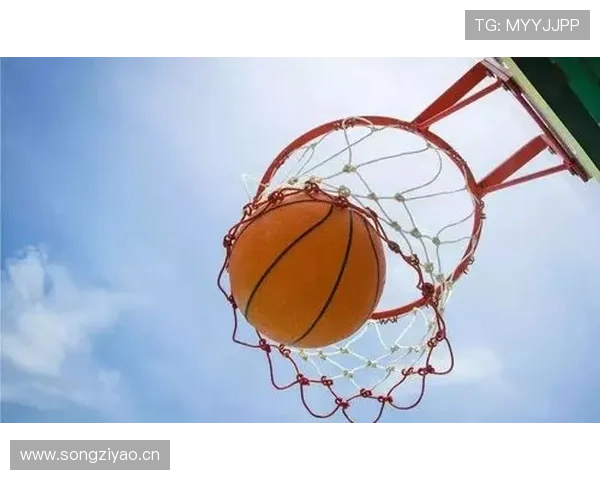 南宫体育官网入口全新上线,助力体育赛事推广与粉丝互动 南宫体育官网入口全新上线,助力体育赛事推广与粉丝互动