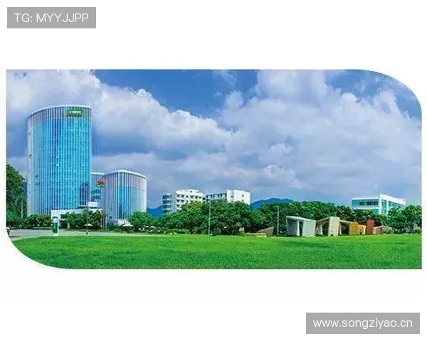 开云中文站全面升级,提供更优质的本地化服务满足中国消费者多样需求 开云中文站全面升级,提供更优质的本地化服务满足中国消费者多样需求